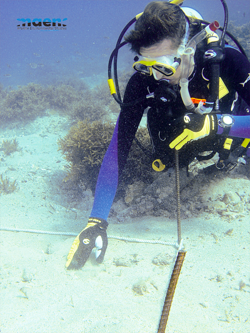 Investigación marina Maens 7